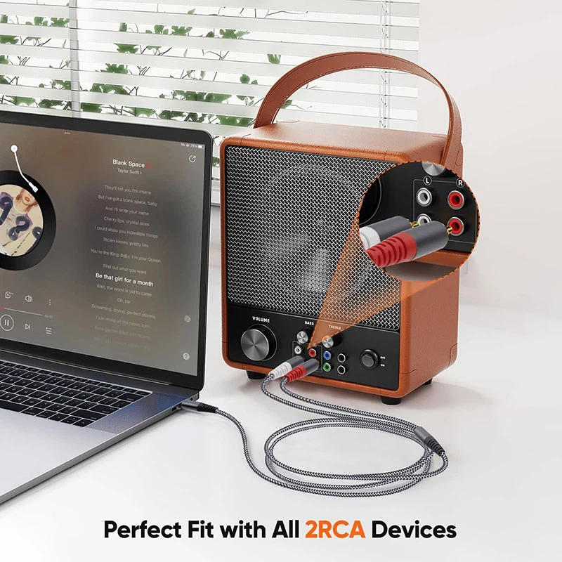 RCA cable